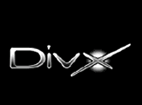 divx_logo.GIF